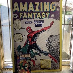 Marvel spider man poster n 1st issue comic